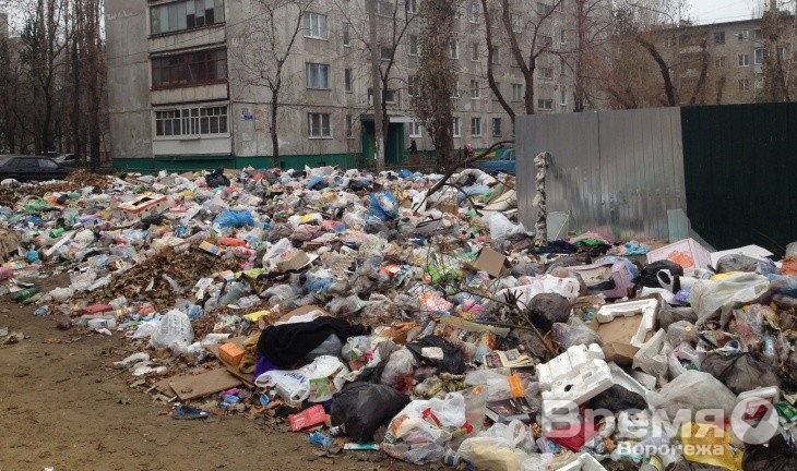 Вывоз отходов по-воронежски: одни мусорят, другие платят