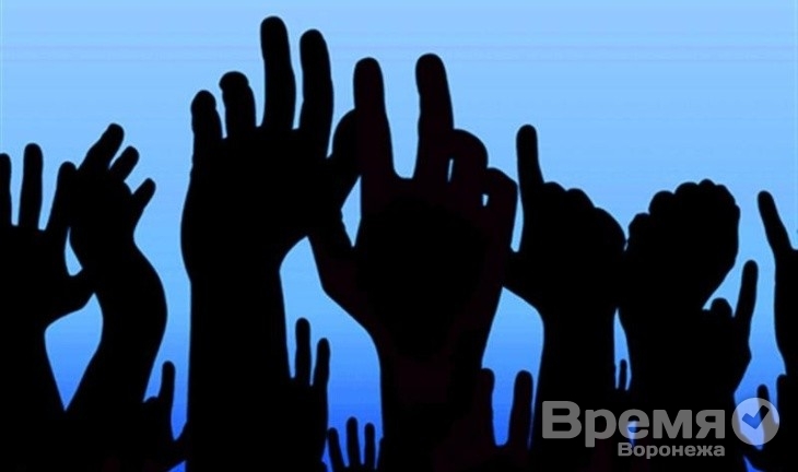 Богатые воронежцы живут в демократической стране
