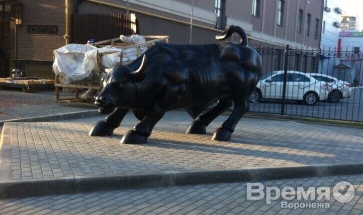 В Воронеже на Карла Маркса появилась статуя быка