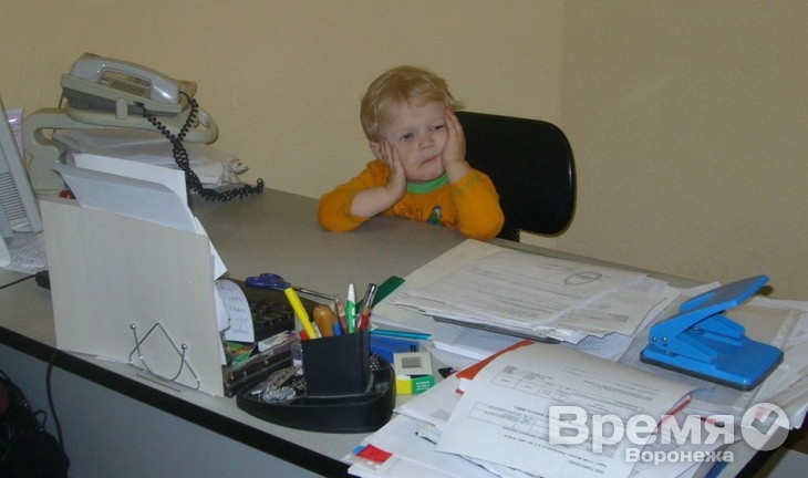 Преподаватели и врачи чаще всех берут на работу детей