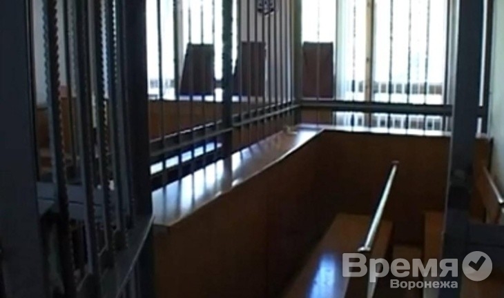 За избиение воронежской пенсионерки директор УК «ЖКХ» Михаил Палютин заплатит всего 50 тысяч рублей
