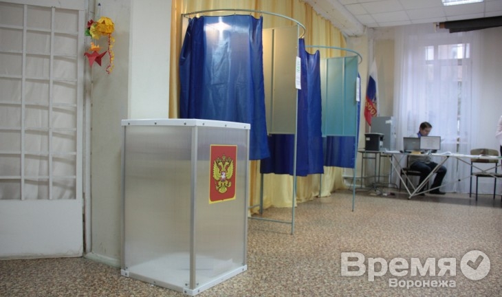 Проходной барьер на выборах в Воронежскую облдуму снизили до пяти процентов