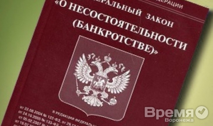 Полиция проверит энергетиков с Воронежского алюминиевого завода на предмет мошенничества