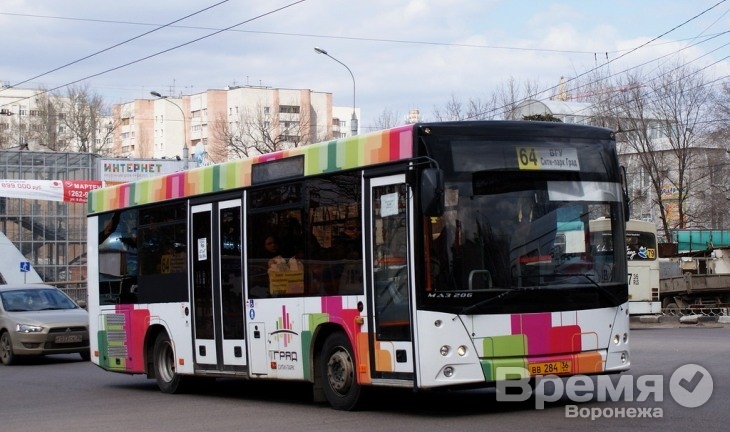 В Воронеже сократится число пассажирских маршрутов