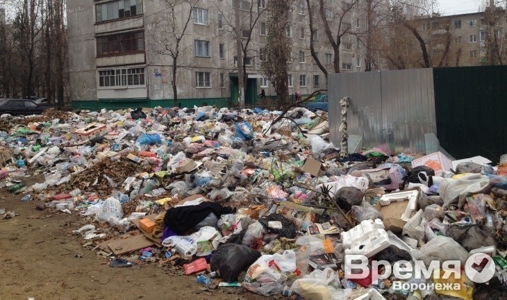 За Михаилом Палютиным будет убирать воронежская мэрия?