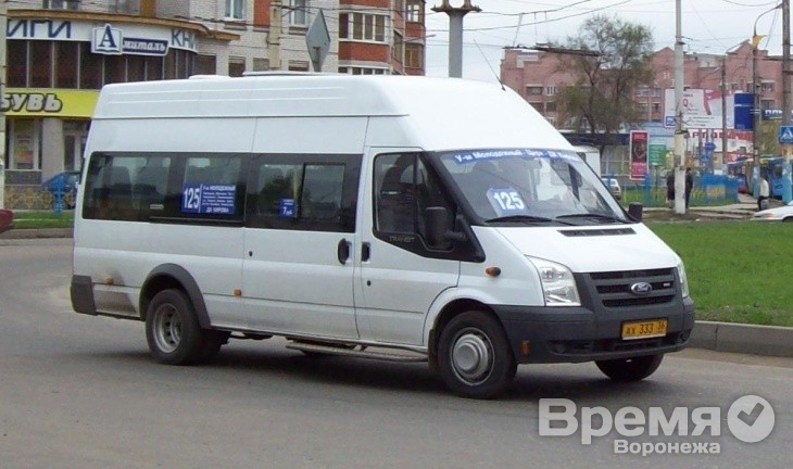 В Воронеже останутся 111 маршруток