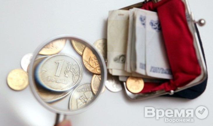 В Воронежской области минимальный размер оплаты труда вырос на 400 рублей