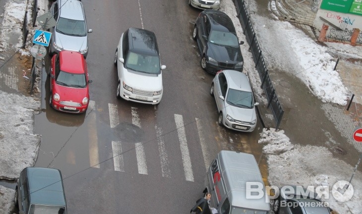 Воронеж барахтается в воде, но не тонет