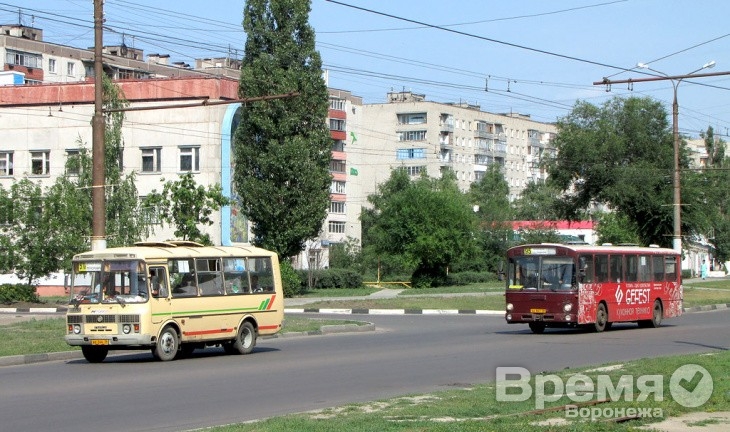 «Народный маршрут» Воронежа пополнился на 25 автобусов