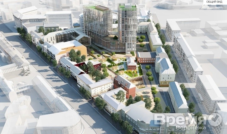 Воронежский коммунист начал борьбу с «Коммуной»