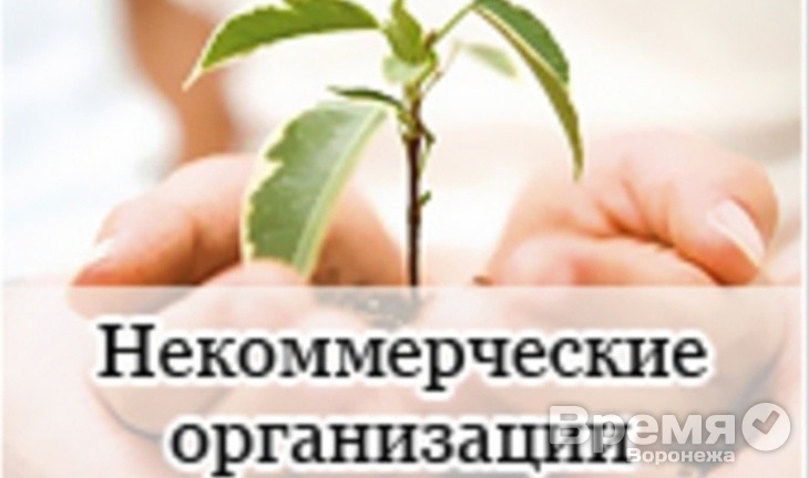 50 с лишним баллов Воронежской области