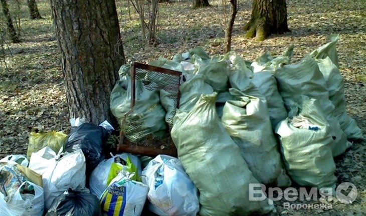 В Воронеже объявили месячник благоустройства