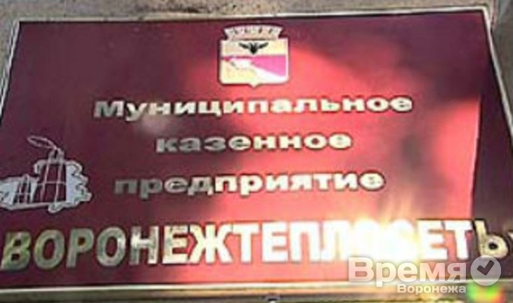 Мэрия Воронежа боится, что УК обанкротятся, не отдав долги «Теплосети»