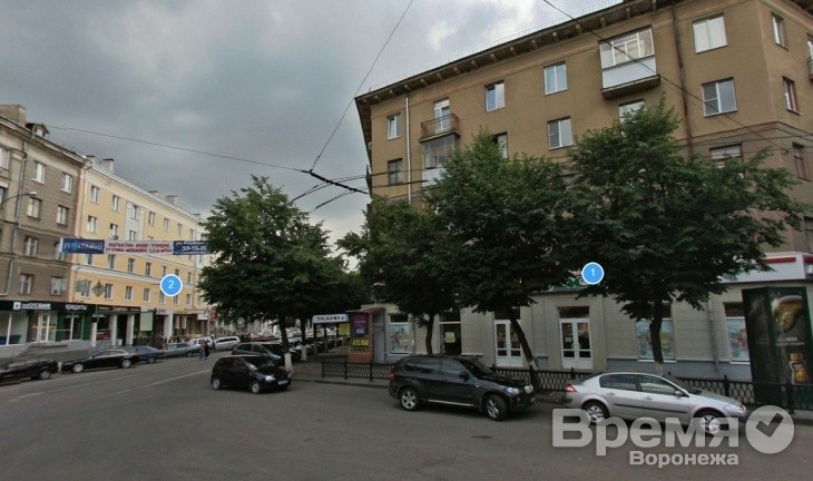 Предвыборная кампания по-воронежски: проблему не решили, но пропиарились