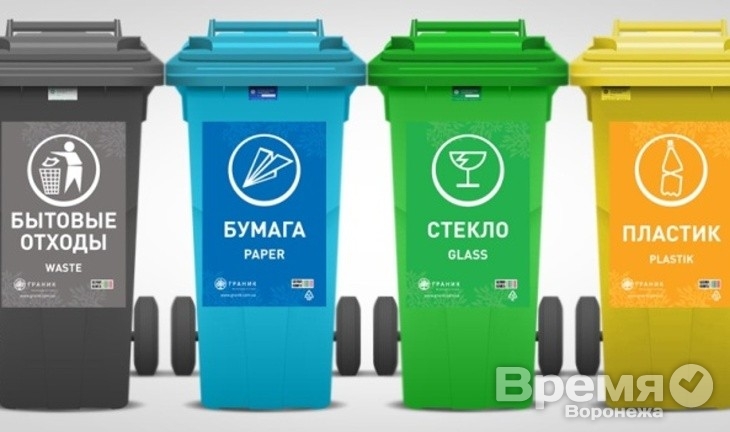 «Гринпис» зачислил власти Воронежа в число своих врагов?