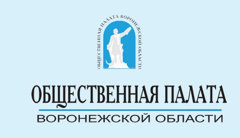 «Линия» Общественной палаты Воронежской области оказалась не такой уж «горячей»