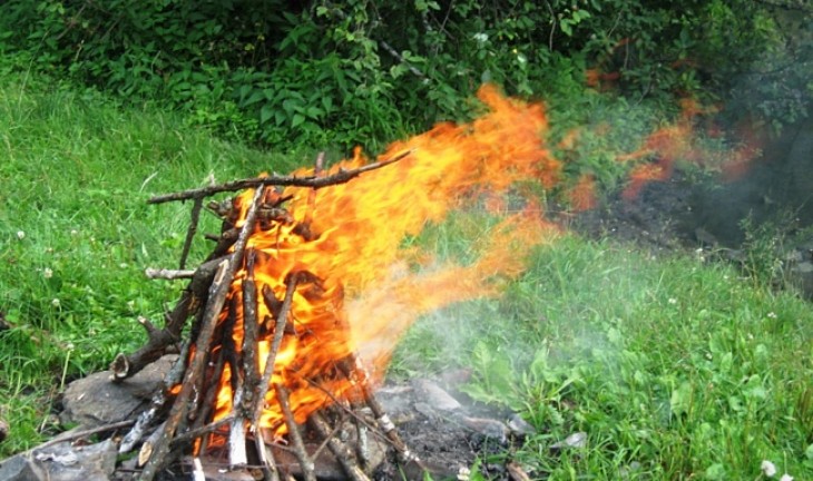 В Воронежской области введен особый противопожарный режим