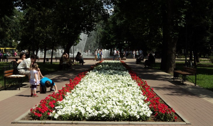 Центру Воронежа власти к юбилею подарили цветов на 8 млн рублей