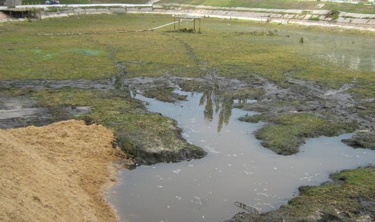 В Воронеже Лебединое озеро превратилось в грязную лужу