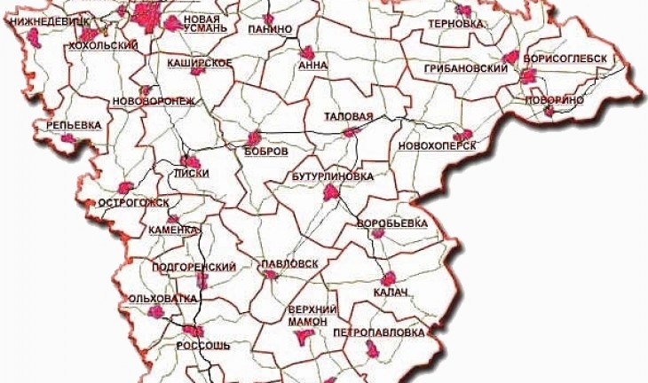 Социально-экономическое положение Воронежской области оказалось хуже среднероссийского