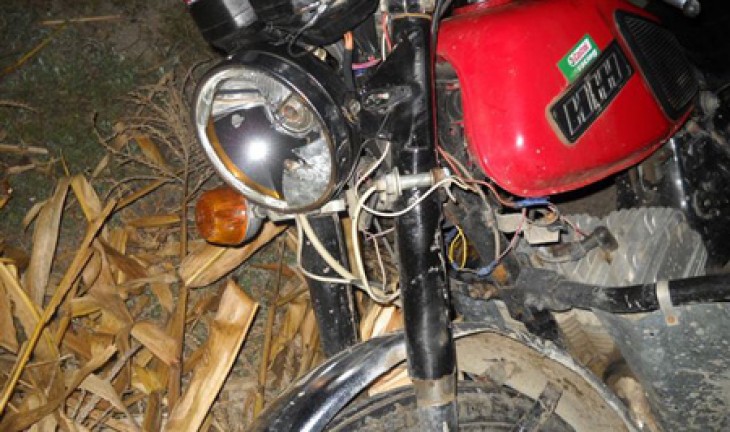 В Воронежской области под колесами грузовика погибли мотоциклист и его пассажир