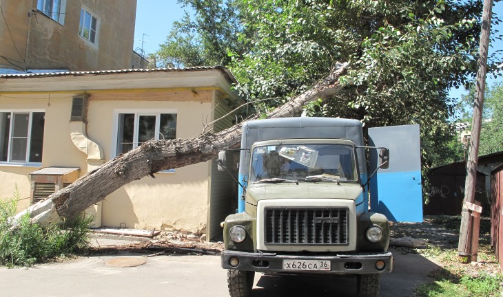 В центре Воронежа дерево упало на передвижную сварочную станцию