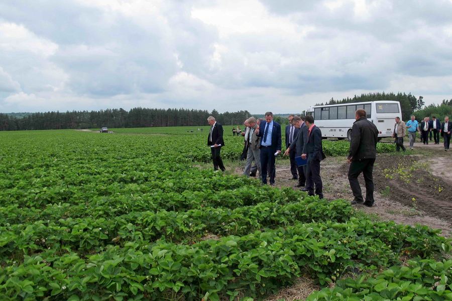 Федеральный бюджет выделил воронежским аграриям более 5 млрд рублей