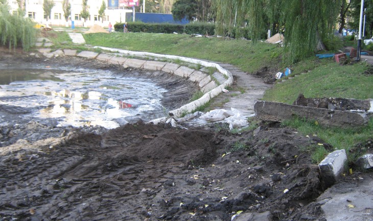 В Воронеже расчистить Лебединое озеро в срок не успели