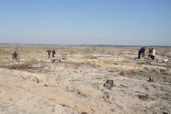 Возвращая Воронежу легкие – заканчивается восстановление лесов после пожаров 2010 года 