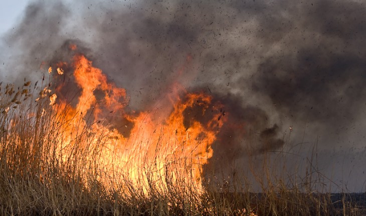 Вместе с жарой в Воронеж вернулись природные пожары