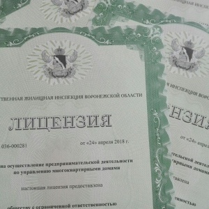 Восемь воронежских УК лишились лицензий по искам Госжилинспекции