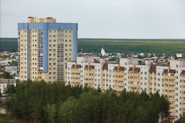 Воронежские власти утвердили проект планировки участков лесного фонда для дороги в Боровом