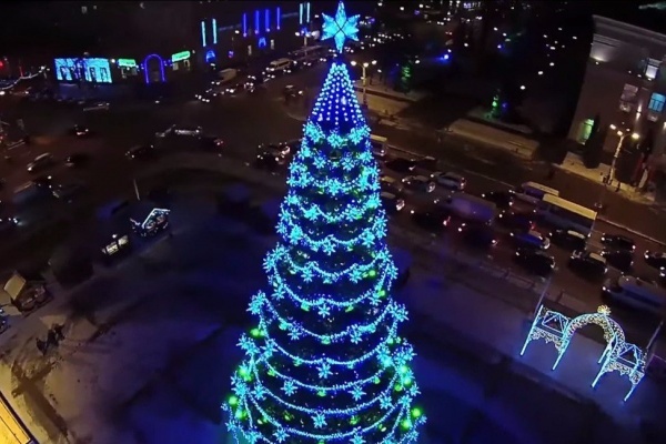 Установка и демонтаж новогодней ели в Воронеже обойдутся в 1,9 млн рублей