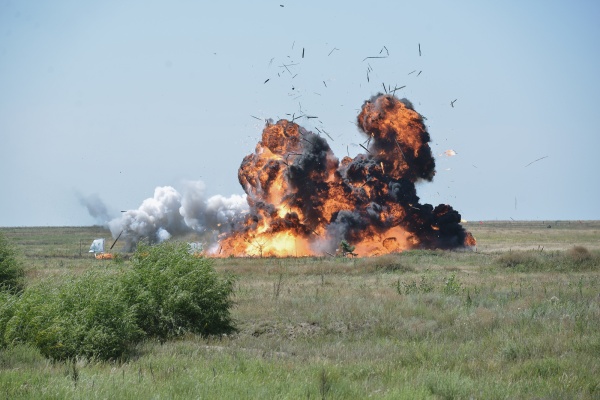 После пожаров на военном полигоне Погоново под Воронежем возбуждено два уголовных дела 