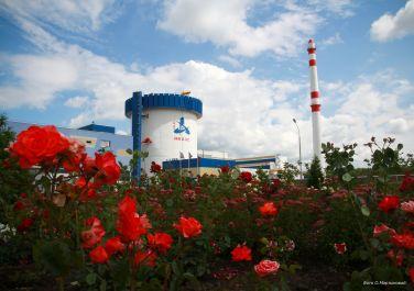 Пятый энергоблок Нововоронежской АЭС остановлен на ремонт