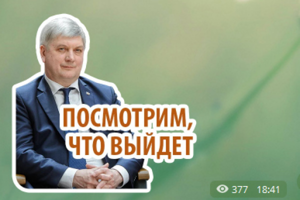 Воронежский губернатор оказался в хвосте медиарейтинга