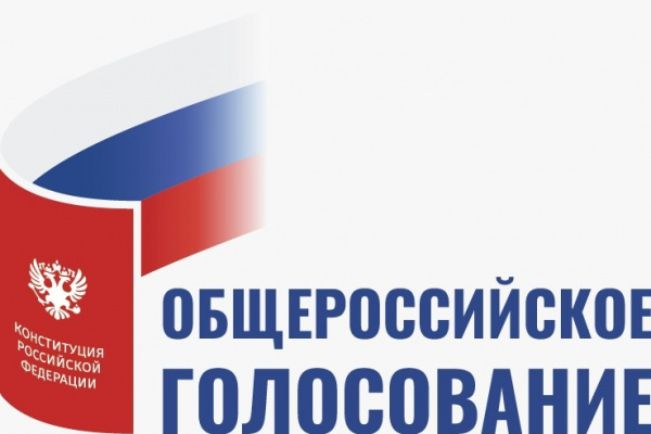 Где и как проголосовать по поправкам в Конституцию в Воронежской области