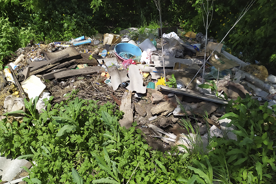 Со свалок в районах под Воронежем убрали более 1 тыс. кубометров мусора