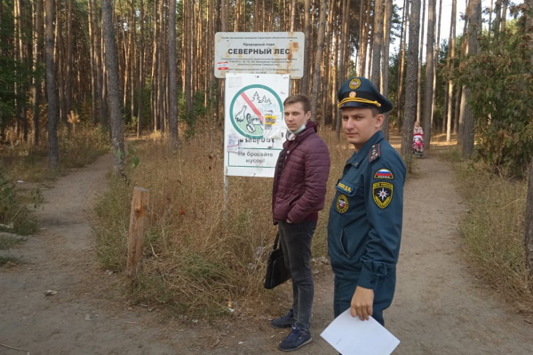 В проблемном Северном лесу Воронежа установят видеонаблюдение