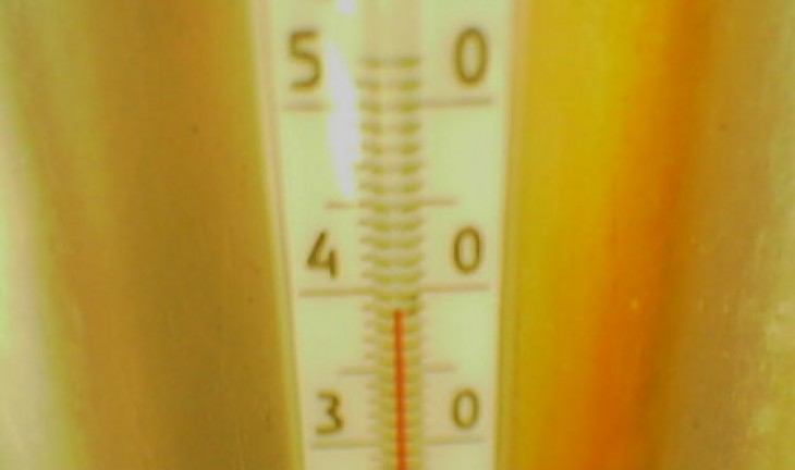 В Воронежской области аномальная жара продержится еще минимум два дня