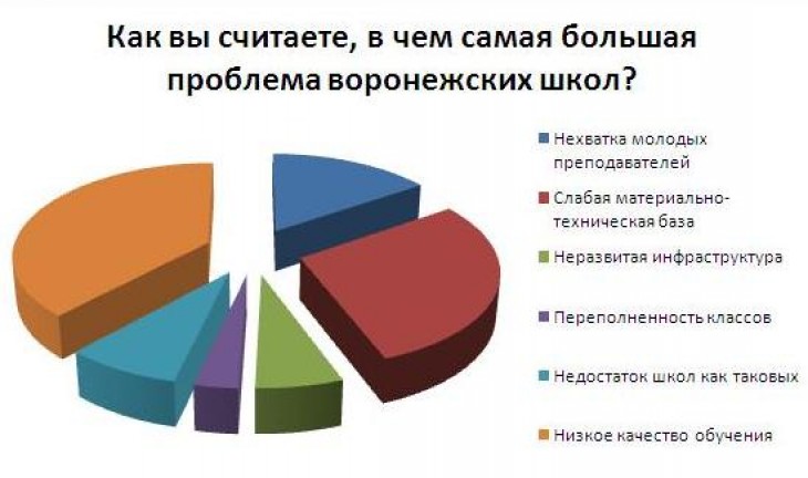 Главной проблемой воронежских школ читатели интернет-газеты «Время Воронежа» назвали низкое качество обучения