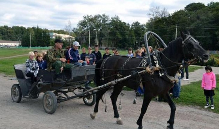 Налоговики Воронежской области устроили для детей из интерната экскурсию на конный завод