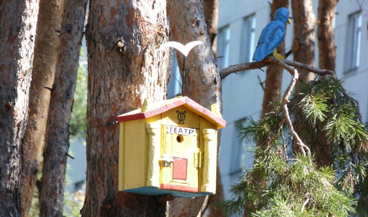 В воронежском парке «Алые паруса» для птиц сделали кинотеатры, банки и даже туалеты