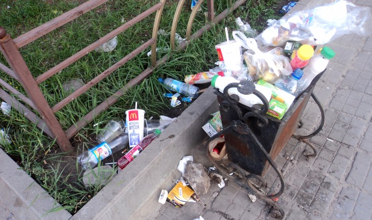 Из центра Воронежа после юбилея вывезли более 5 вагонов мусора