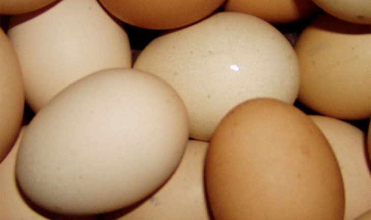 В Воронеже суд и УФАС заставили торговать «Копейку» местными яйцами