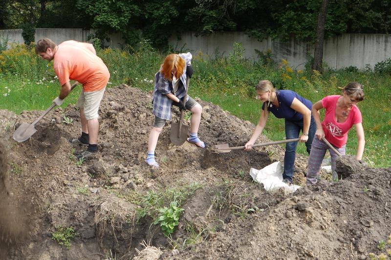 Москвичи выполнят проект реконструкции Ботанического сада в Воронеже