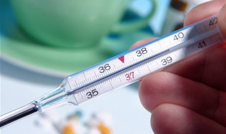 В Воронежской области растет число заболевших гриппом