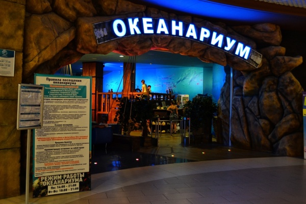 Воронежский океанариум стал одним из лучших в Европе 