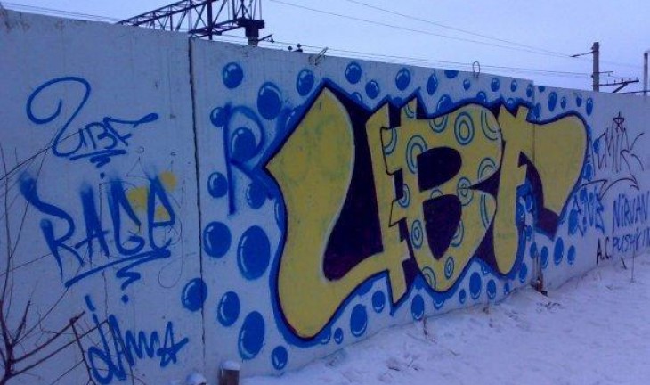 В Воронеже в этом году возбуждено уже 18 уголовных дел на граффитистов