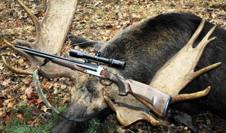 В Воронежской области незаконно отстреливают парнокопытных